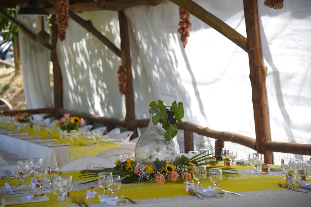 Agriturismo Primaluce Sorrento Exteriér fotografie